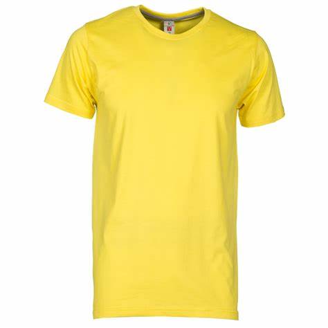 Tee shirt PRINT