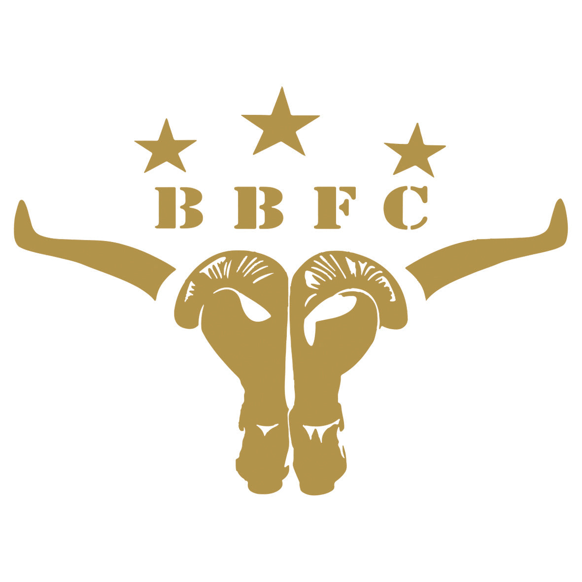 Bull Boxing Fighting Club
