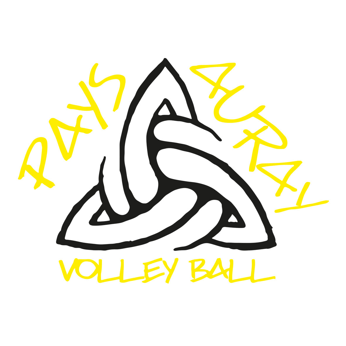 Pays d'Auray Volley