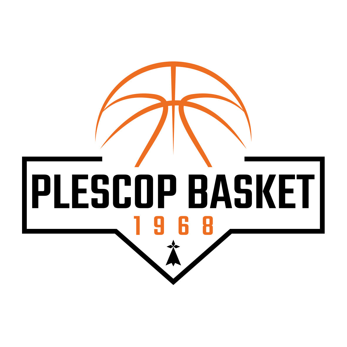 Plescop Basket