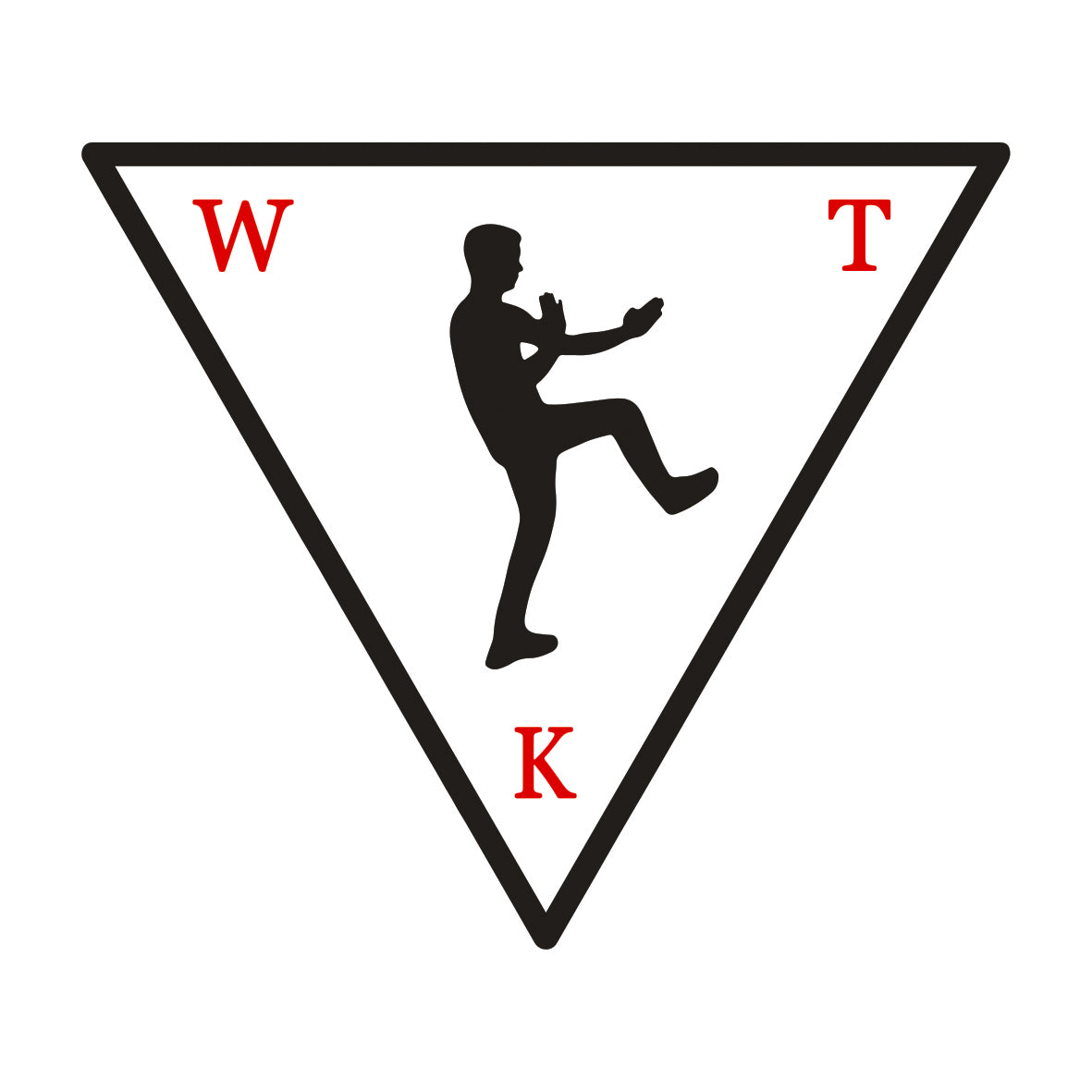 Wing Tsun Kung Fu