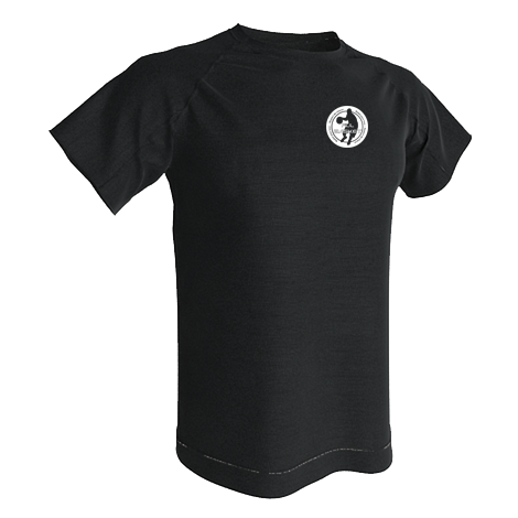 Tee shirt polyester AC300 FLL